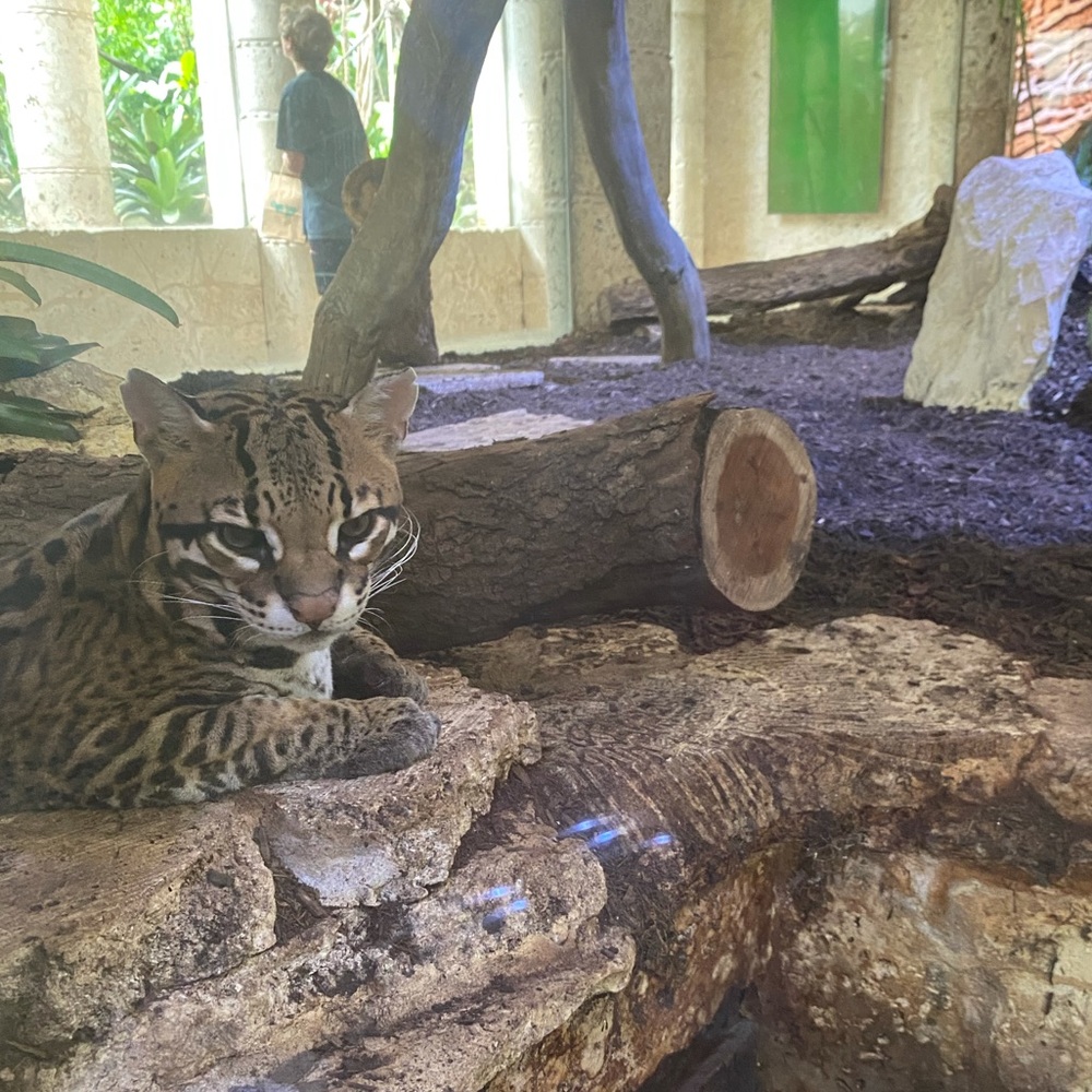 Meet your Posher, Shena